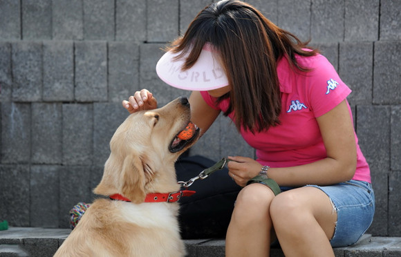 狗狗冠状病毒会自愈吗快好了的迹象 狗狗冠状病毒会自愈吗快好了的迹象