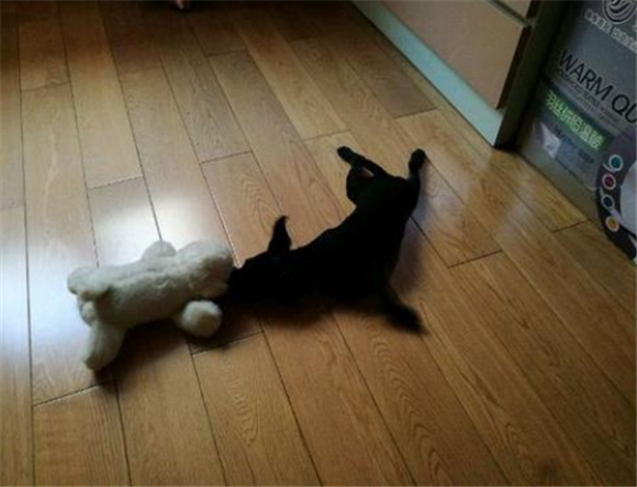 帕特大勒梗窝咳应该怎么办