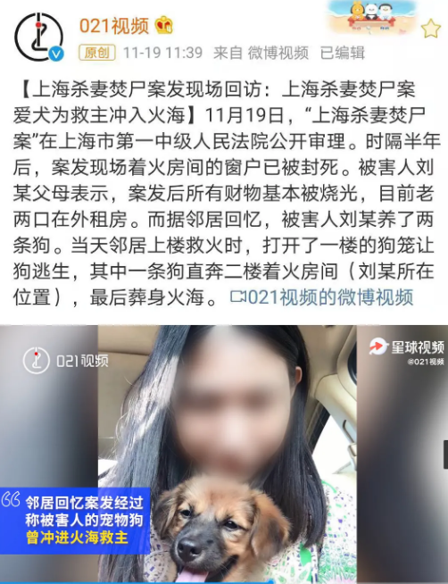 家里起火了，狗狗竟然直接冲进去……