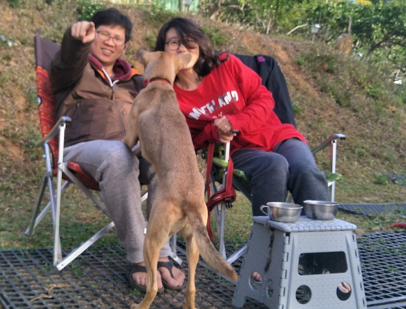 唐狗突然冲入全家福镜头,顿时爱犬成最大亮点 唐狗突然冲入全家福镜头,顿时爱犬成最大亮点