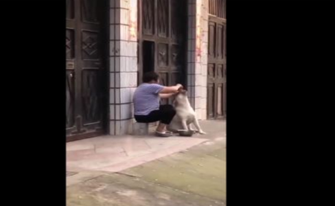 奶奶亲自动手，狗狗无奈被疯狂喂食引热议