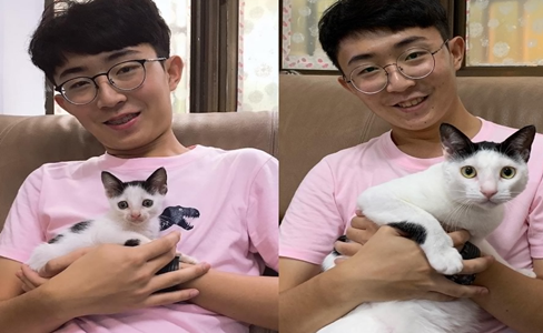唐猫与爸齐发福一年重5kg，网友吐槽：食同款猫粮
