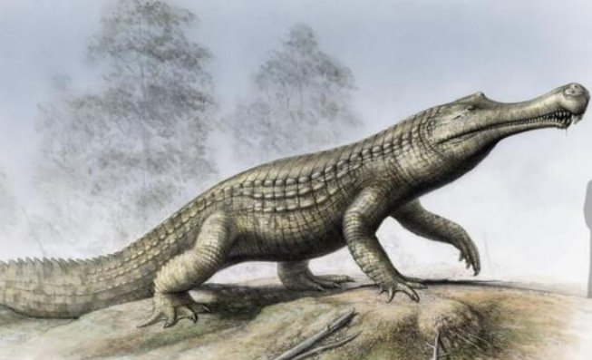 关于帝鳄是否吃人,是无从考证的,因为在帝鳄灭绝的时候,人类还没有