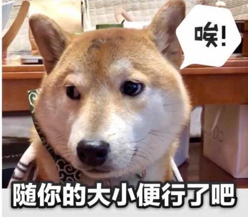 疫情居家隔离期间该如何遛狗?来看网友们各显神通! 疫情居家隔离期间该如何遛狗?来看网友们各显神通!
