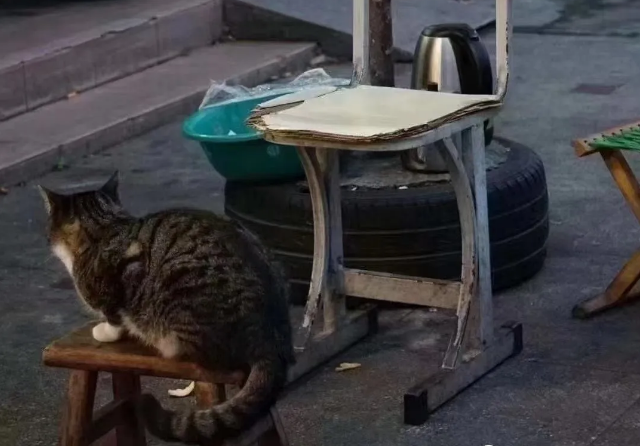 水果摊老板的猫丢了,发布的寻猫启事,竟引发了一场骂战... 水果摊老板的猫丢了,发布的寻猫启事,竟引发了一场骂战...