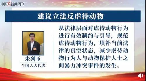 建议遗弃宠物纳入不良征信记录,建议出台反虐待动物法……这些两会建议值得关注!.jpg 建议遗弃宠物纳入不良征信记录,建议出台反虐待动物法……这些两会建议值得关注!.jpg