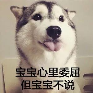 狗咬吕洞宾，不识好人心？狗：这个锅我背够了！.jpg