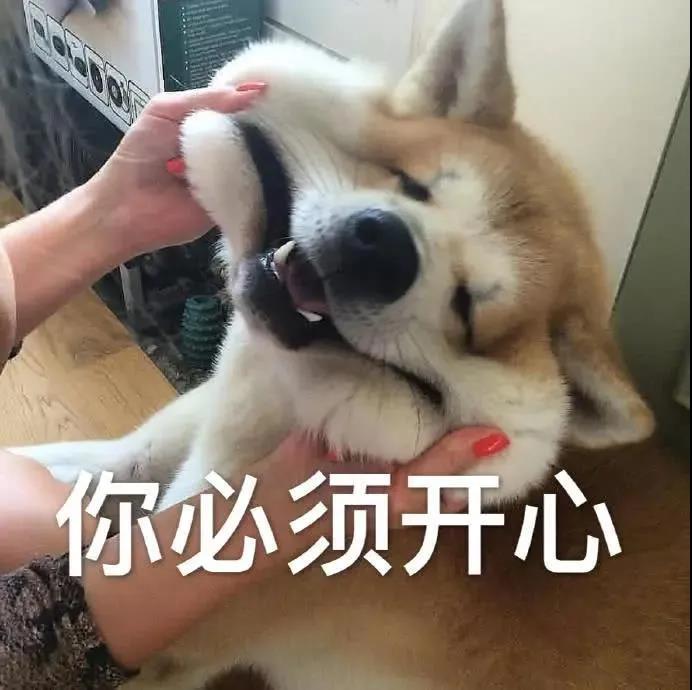 狗狗为什么老叹气呢？难道我亏待它了？