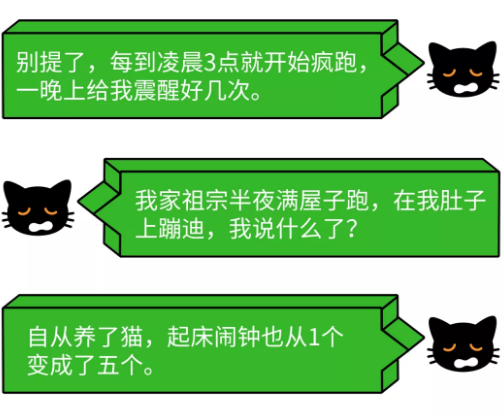 半夜不睡床头蹦迪，这只猫还能要吗？.png