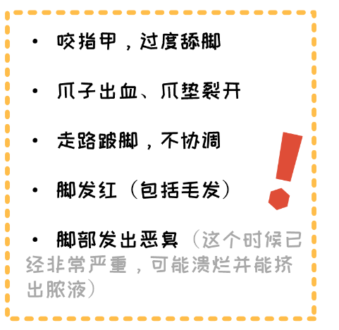 毛孩子肉垫硬硬的?小心一不注意变成“大干皮”!.png 毛孩子肉垫硬硬的?小心一不注意变成“大干皮”!.png
