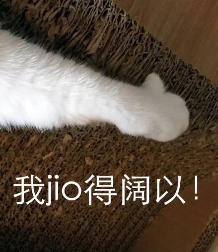建议遗弃宠物纳入不良征信记录,建议出台反虐待动物法……这些两会建议值得关注!.jpg 建议遗弃宠物纳入不良征信记录,建议出台反虐待动物法……这些两会建议值得关注!.jpg
