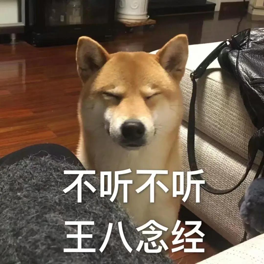 如何一句话证明你养了狗？.jpg