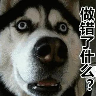 分手就弃养？狗狗做错了什么！我劝这类人还是别害狗了吧！