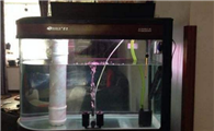 鱼缸的过滤系统有哪些