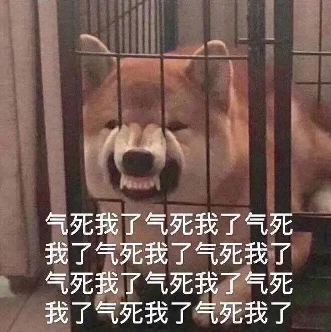 分手就弃养？狗狗做错了什么！我劝这类人还是别害狗了吧！
