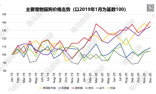 为什么中国还没出现本土宠物产品巨头？