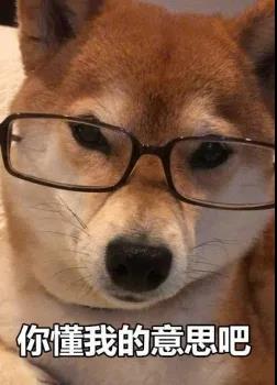 如何一句话证明你养了狗？.jpg