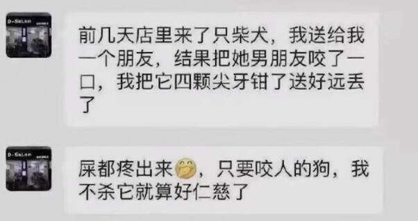 小柴犬被活活拔掉牙齿后,施虐者:我是一个很喜欢狗的人... 小柴犬被活活拔掉牙齿后,施虐者:我是一个很喜欢狗的人...