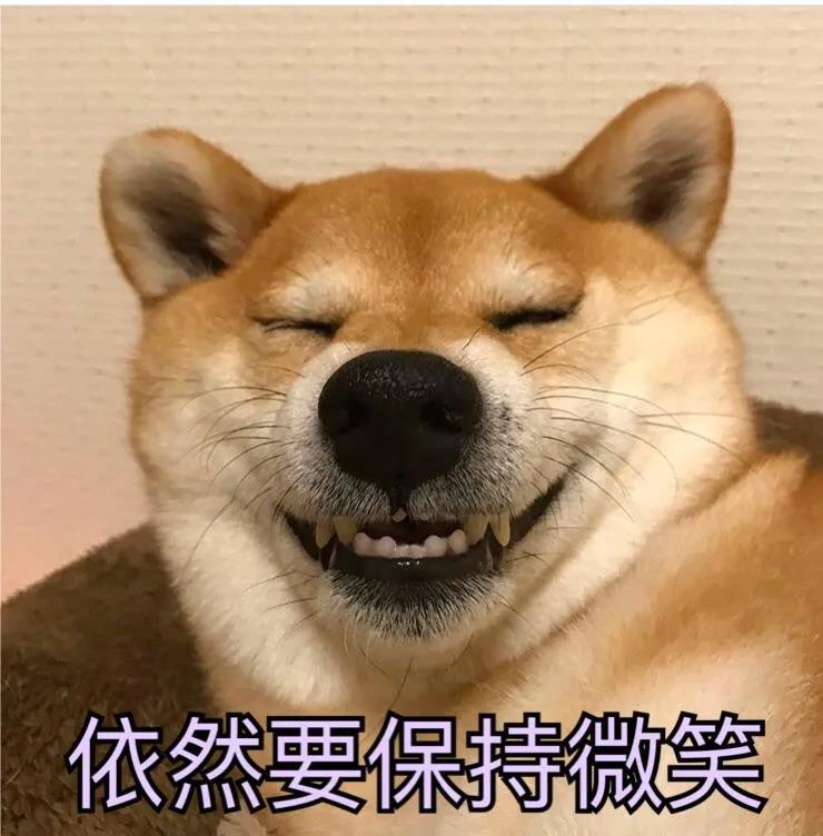 狗咬吕洞宾，不识好人心？狗：这个锅我背够了！.jpg