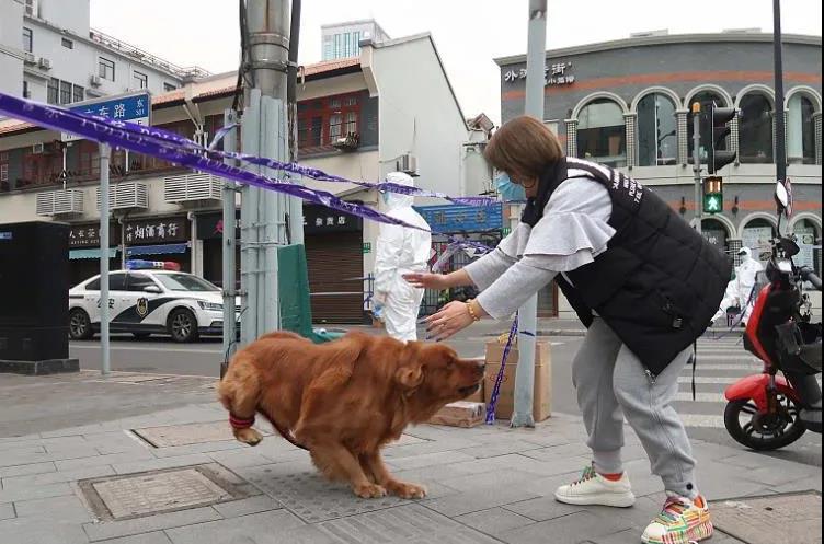 我能带上我的狗狗一起隔离吗?.jpg 我能带上我的狗狗一起隔离吗?.jpg