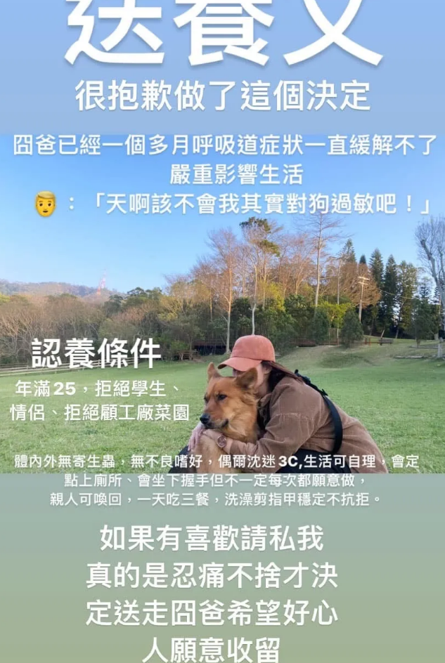 老公对狗毛过敏,对不起,只能把“你”送走了 老公对狗毛过敏,对不起,只能把“你”送走了
