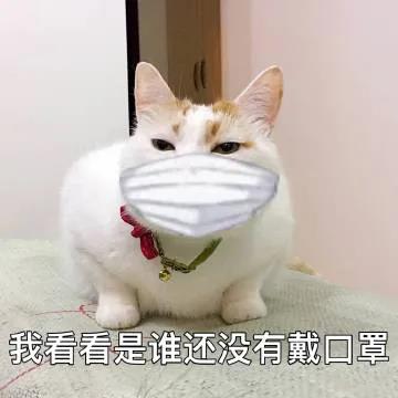 疫情居家隔离期间该如何遛狗?来看网友们各显神通! 疫情居家隔离期间该如何遛狗?来看网友们各显神通!