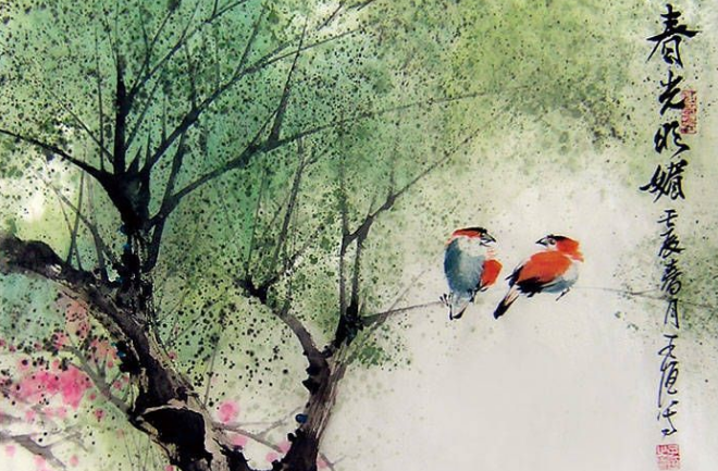 美如水墨画的蓝翅八色鸫,不来了解一下吗?