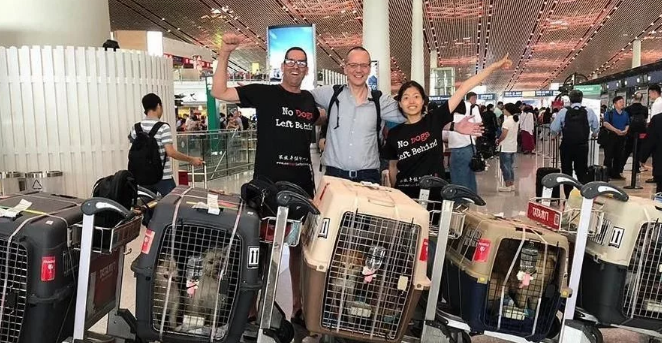 79只中国遗弃犬历经10个月飞抵纽约,各州居民喜迎家庭新成员 79只中国遗弃犬历经10个月飞抵纽约,各州居民喜迎家庭新成员