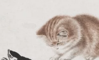 从古至今,没有人可以拒绝一只小猫咪,皇上:这小东西太可爱了 从古至今,没有人可以拒绝一只小猫咪,皇上:这小东西太可爱了