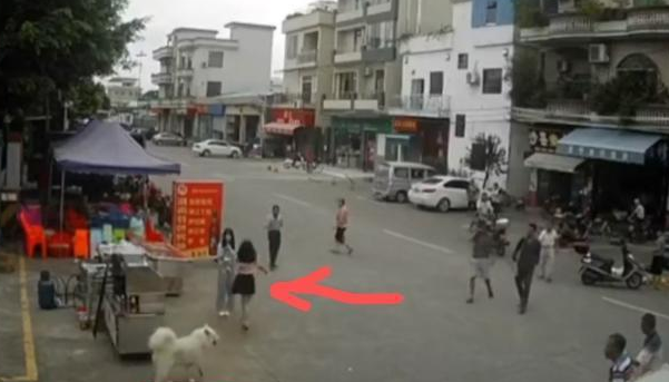 “佛山女孩遛狗拖倒老人后逃跑”事件，后续来了：老人已丧生 