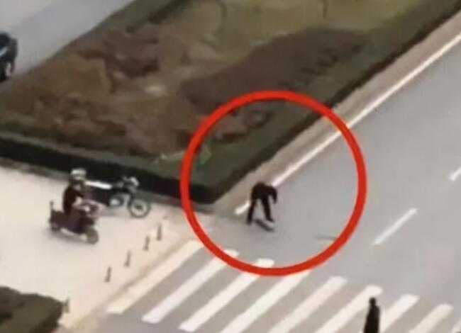 宠物狗闯红灯被车撞死,狗主人向车主索赔18万?交警判罚让人拍手称快 宠物狗闯红灯被车撞死,狗主人向车主索赔18万?交警判罚让人拍手称快