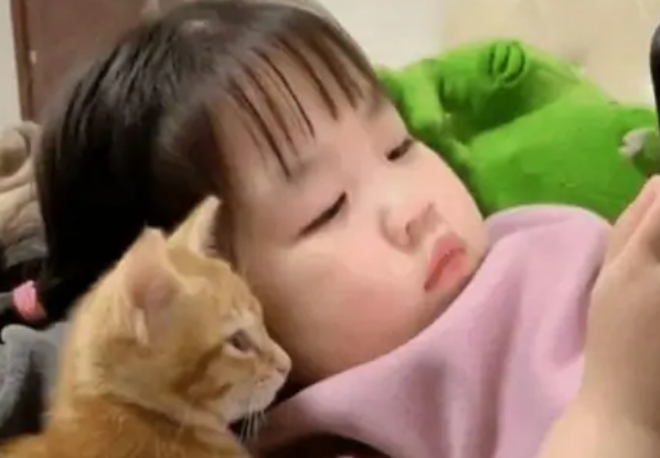 5岁女儿跟小猫一起看手机,宝妈:下一秒把人给笑翻 5岁女儿跟小猫一起看手机,宝妈:下一秒把人给笑翻