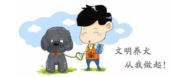 为期一个月，福山区开始对违规养犬进行专项整治
