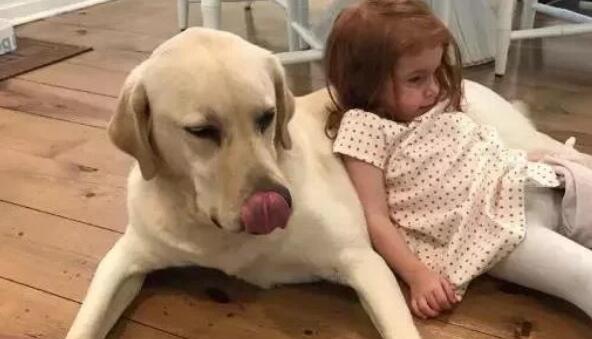 孩子与狗狗真的不能共存吗?看看国内外专家是怎么说的!