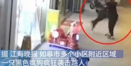 注意安全!江苏南通发现一条疯狗四处游荡，已咬伤21人