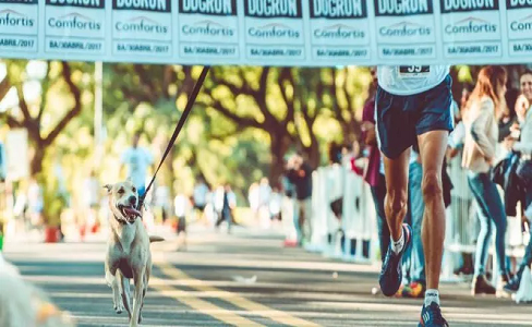“红狗杯”DOGRUN大型人宠彩跑赛事2021继续开跑咯！首站杭州