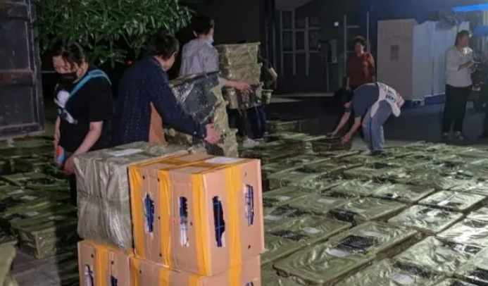 “宠物盲盒”事件：畸形的消费谋杀