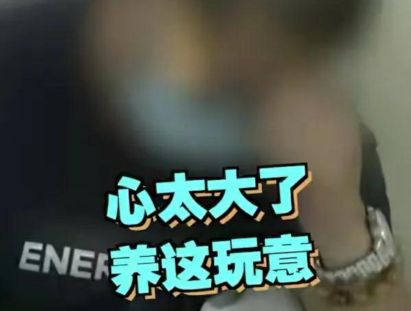 近日，黑龙江一男子，把一条眼镜蛇当成宠物养