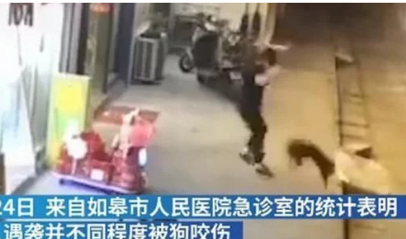 注意安全!江苏南通发现一条疯狗四处游荡,已咬伤21人 注意安全!江苏南通发现一条疯狗四处游荡,已咬伤21人