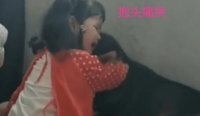 5岁女儿跟小猫一起看手机,宝妈:下一秒把人给笑翻 5岁女儿跟小猫一起看手机,宝妈:下一秒把人给笑翻