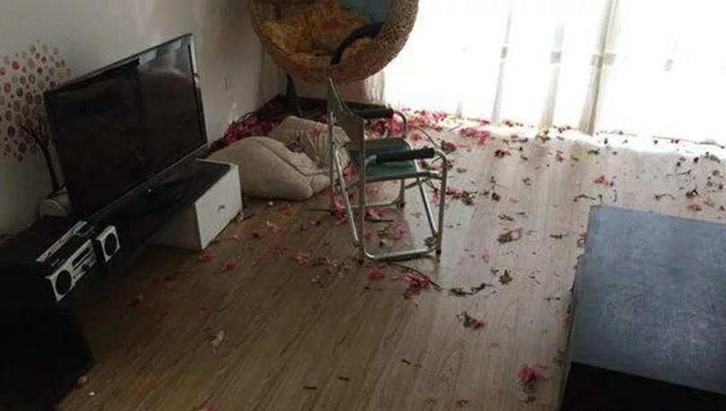 金毛一胎生下7只小金毛，不舍得送人自己养，结果却让主人惆怅