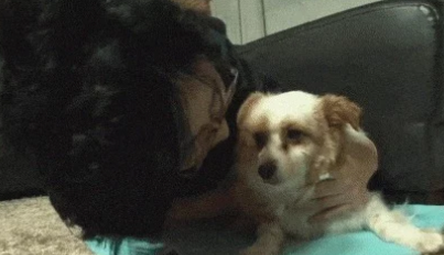 “你说,你一定会回来的”:一只被抛弃,流泪等待主人归来的狗狗 “你说,你一定会回来的”:一只被抛弃,流泪等待主人归来的狗狗