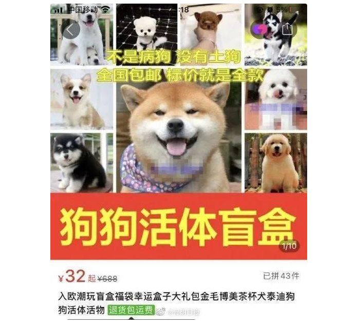 成都“宠物盲盒”起风波,活体动物寄递和物流业务受影响 成都“宠物盲盒”起风波,活体动物寄递和物流业务受影响