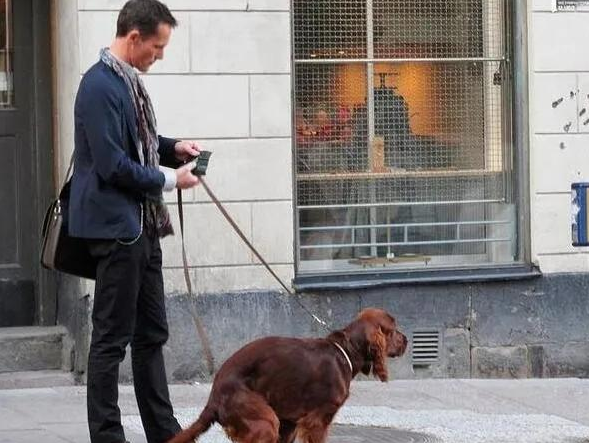 养犬新规实行，不文明养，不仅缺德还违法！