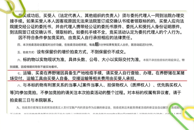 司法拍卖骆驼、鳄鱼!还有野猪一万斤起拍 司法拍卖骆驼、鳄鱼!还有野猪一万斤起拍