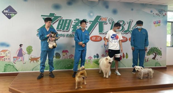 免费领养狗狗,报名申请就可以!今天,柯基、贵宾等15只小可爱已被领走 免费领养狗狗,报名申请就可以!今天,柯基、贵宾等15只小可爱已被领走