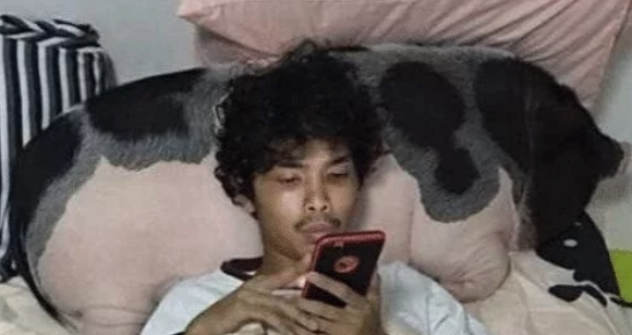 男子养了一只宠物猪,每天照顾的无微不至,一年后噩梦开始了! 男子养了一只宠物猪,每天照顾的无微不至,一年后噩梦开始了!