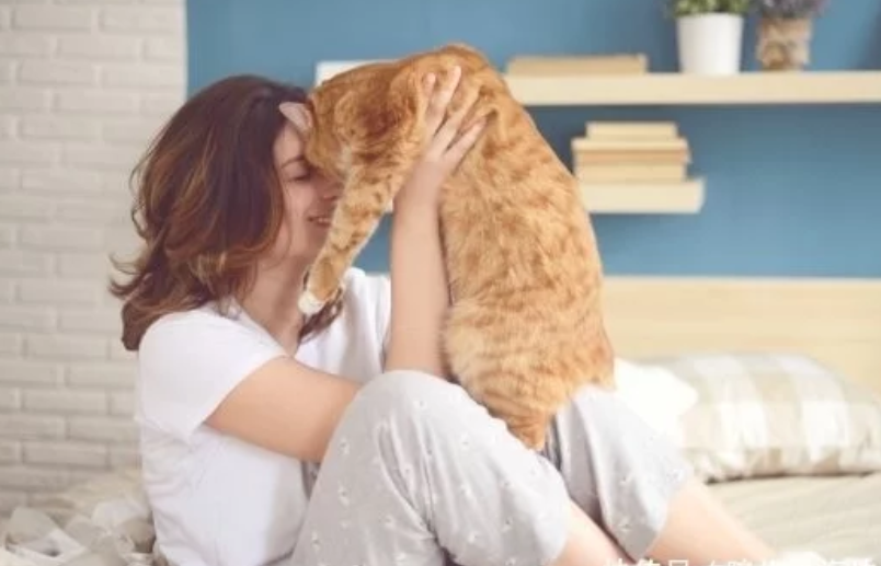 英媒:比利时一宠物猫的粪便中发现新冠病毒 系被其主人感染 英媒:比利时一宠物猫的粪便中发现新冠病毒 系被其主人感染