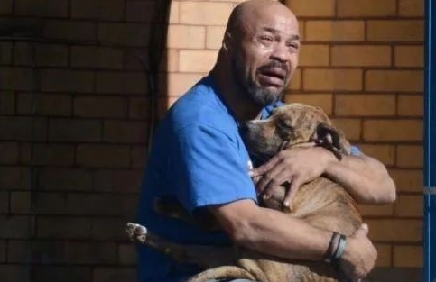 该如何面对相伴多年的宠物离世? 该如何面对相伴多年的宠物离世?