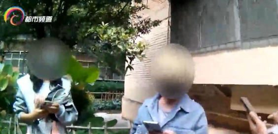 定金还是订金？女孩“网购”宠物猫起纠纷